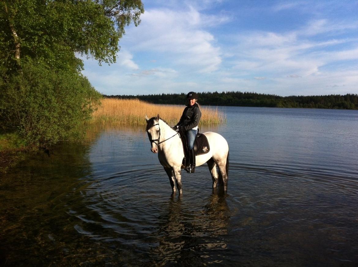 Anden særlig race Steendiek's Monte Nara (A-pony) - En lille tur rundt om hampen sø. billede 6