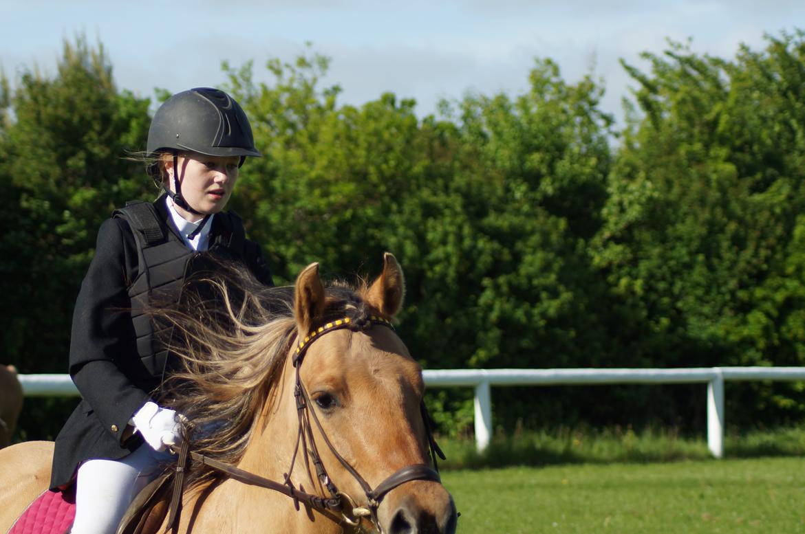 Anden særlig race Dumbledore  - „Når nogen fortæller dig at du er smuk, mener de det ikke altid. Men når jeg siger til dig, at du er smuk, så mener jeg det helt fra hjertet.“ billede 11