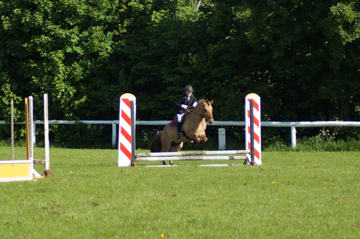 Anden særlig race Dumbledore  - „Sometimes people are beautiful. Not in looks. Not in what they say. Just in what they are.“ billede 13