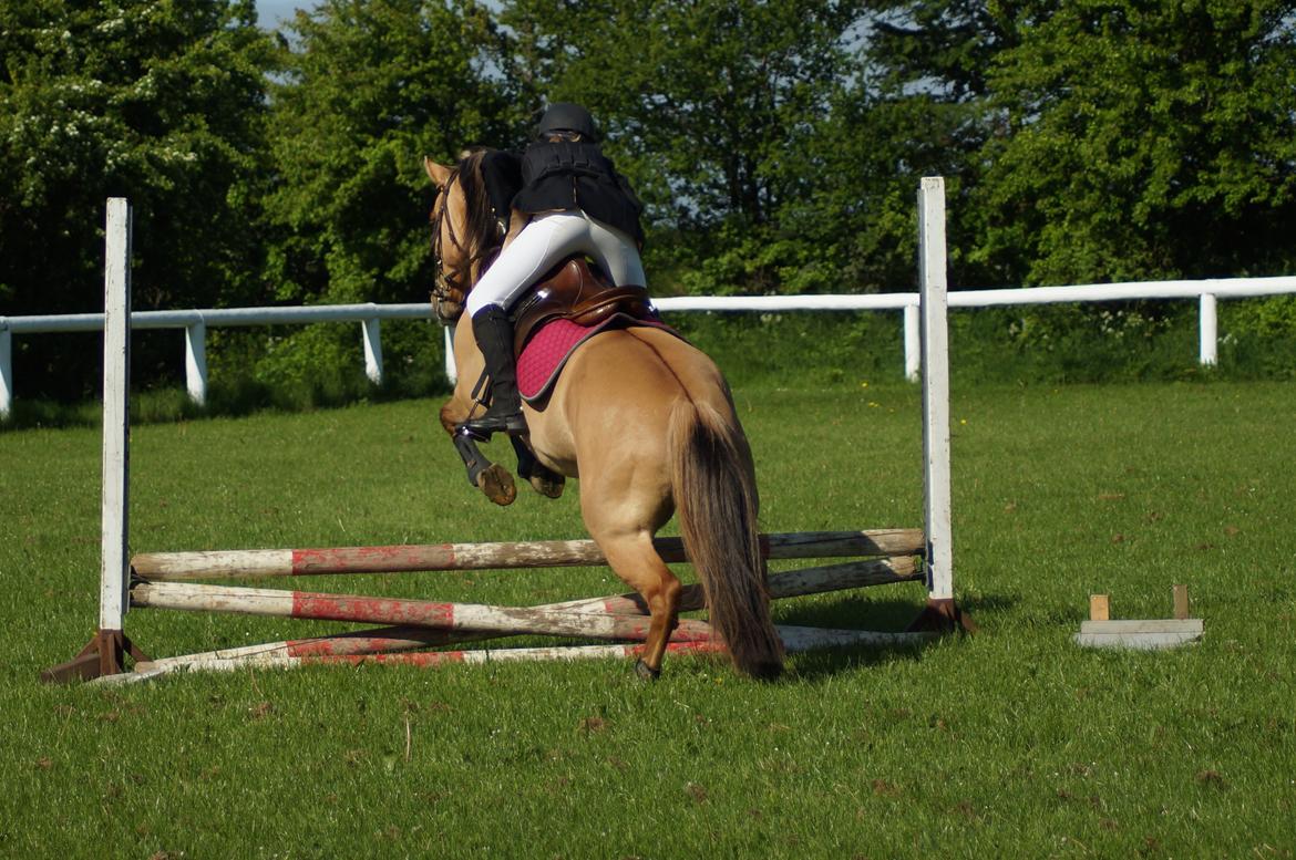 Anden særlig race Dumbledore  - Når enden er god er alting godt!<3
Tak fordi i gad kigge forbi! Håber i nyd den!<3 billede 31