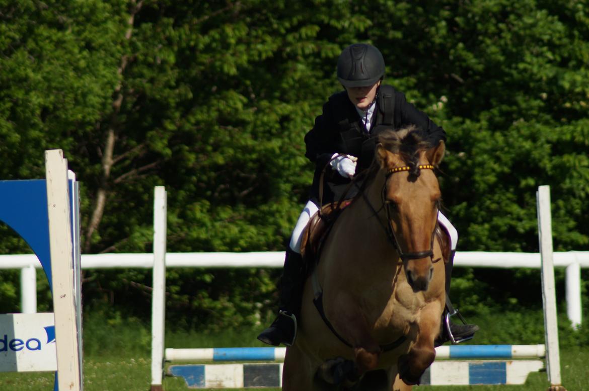 Anden særlig race Dumbledore  - Don't worry, I'll never leave you.. billede 3