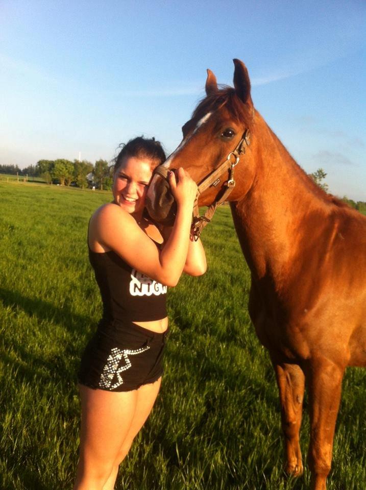 Arabisk fuldblod (OX) GKV`S Cassanova <3  - sommer!<3
 billede 10