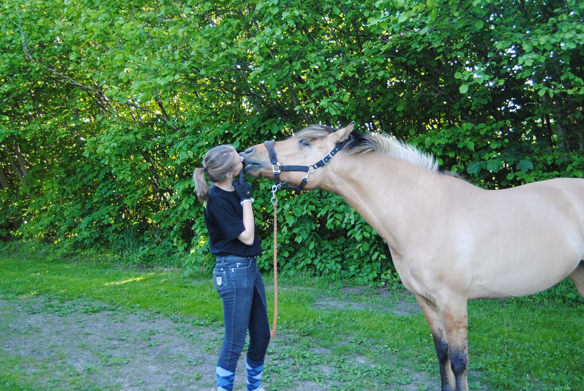 Anden særlig race Baunehøjgaards Ros- a-li billede 2
