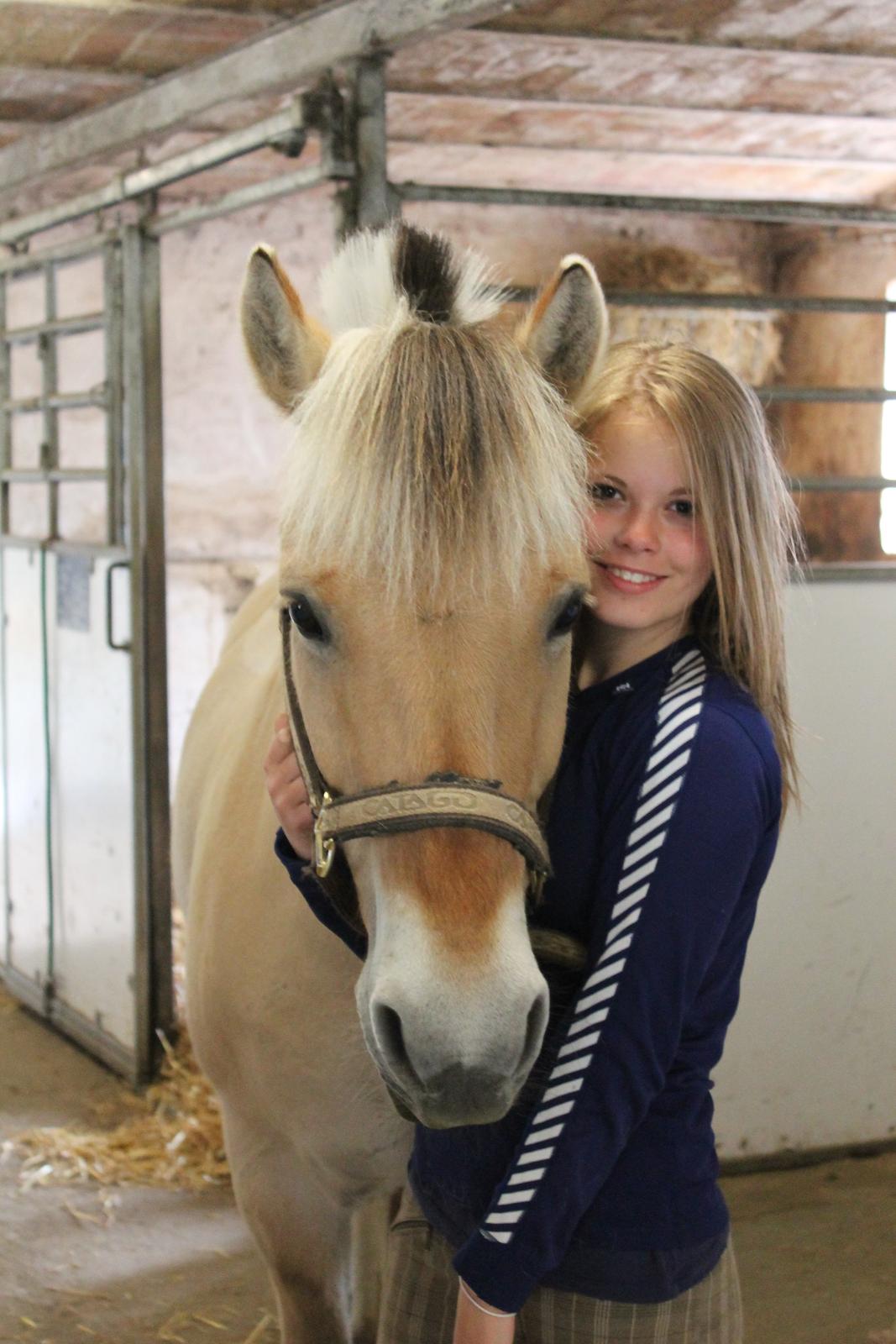 Fjordhest Arkibald - 02-06-2013 billede 19