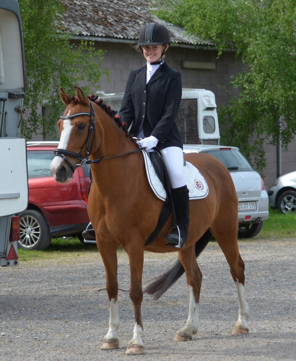 Anden særlig race (Miss) Scarlett - Vores første stævne sammen på Horsens Rideskole 2. Juni 2013 <3 billede 1