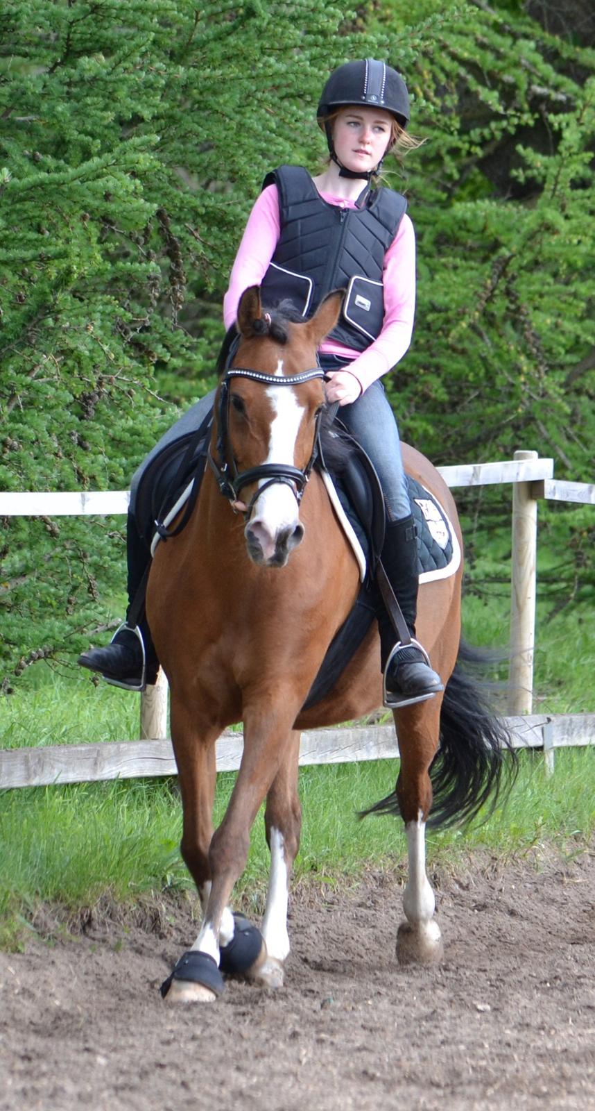 Anden særlig race (Miss) Scarlett - Fiiin baneridning <3 billede 4