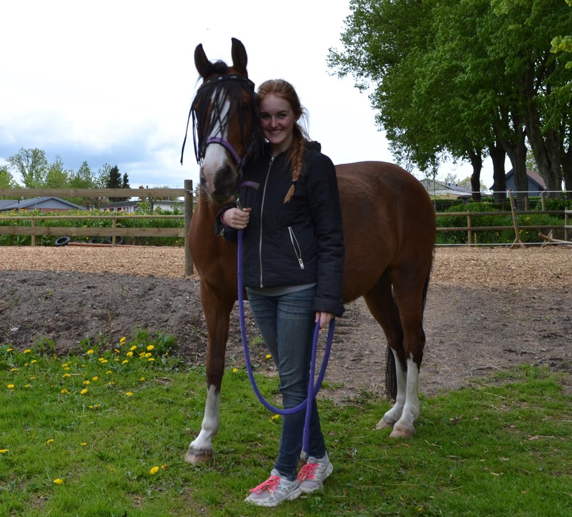 Anden særlig race (Miss) Scarlett billede 10