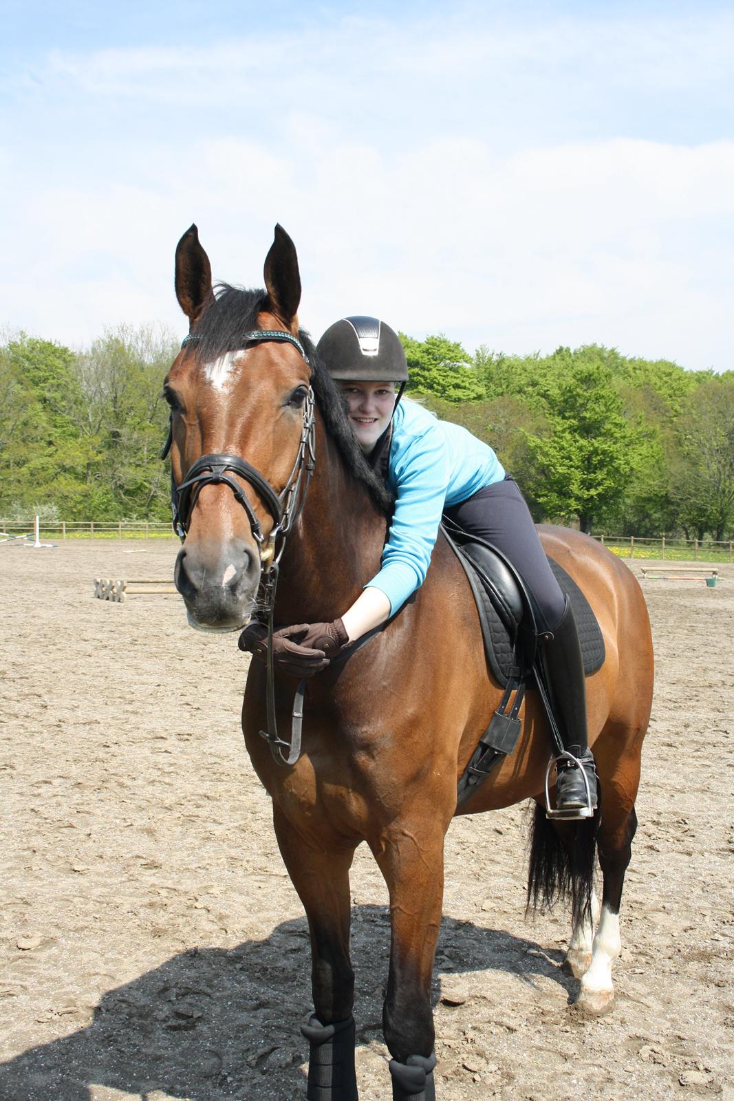 Dansk Varmblod First Move A.B. billede 8