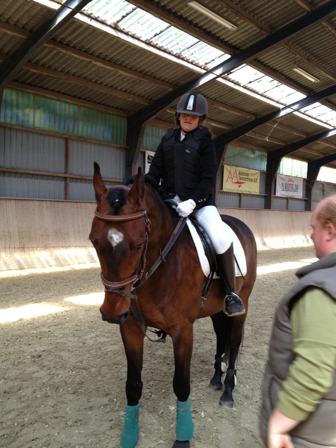 Dansk Varmblod Unikum billede 12