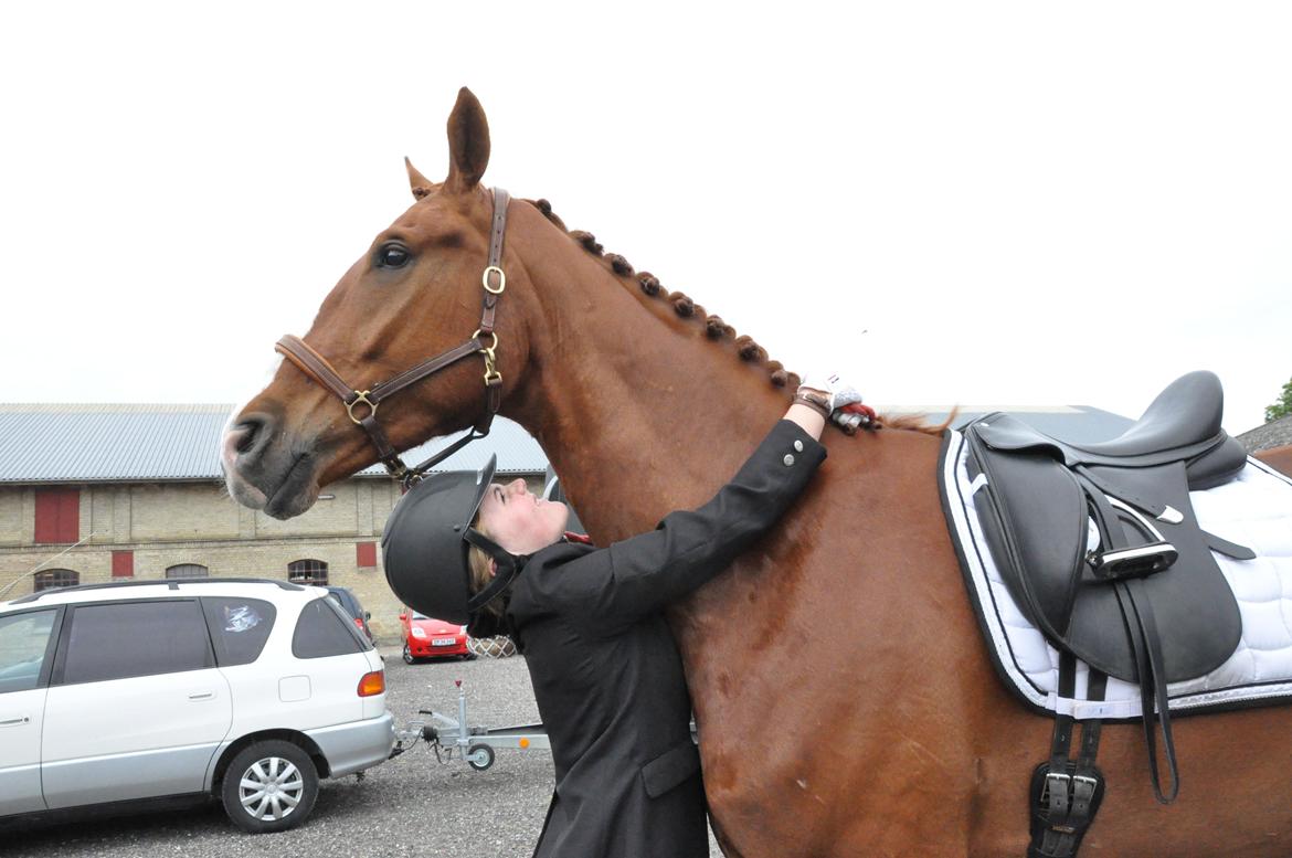 Hannoveraner William - Bedste baby, jeg elsker dig! <3 billede 10