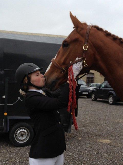 Hannoveraner William - Min elskede baby.  billede 13