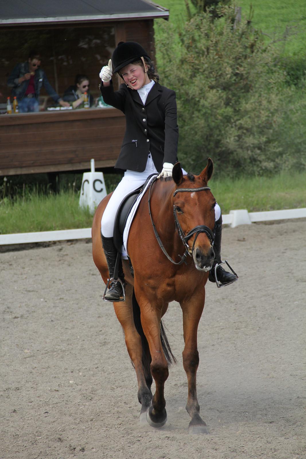 Dansk Varmblod Satchmo - Yes mand! Min første LA1 til 71%  billede 1