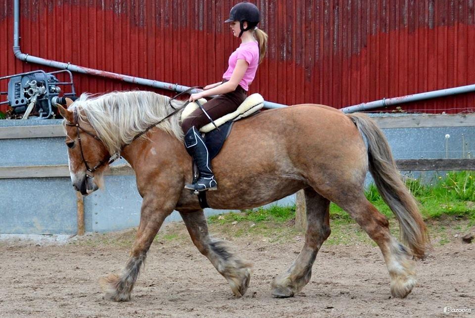 Jyde Muffin - er så stolt af hvor langt vi allerede er kommet. foto: Natasha billede 11