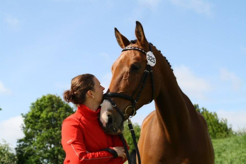 Dansk Varmblod Cias Moonlight billede 17