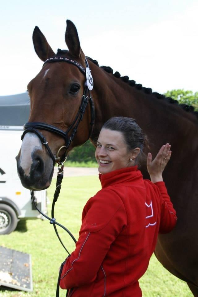 Dansk Varmblod Cias Moonlight billede 18