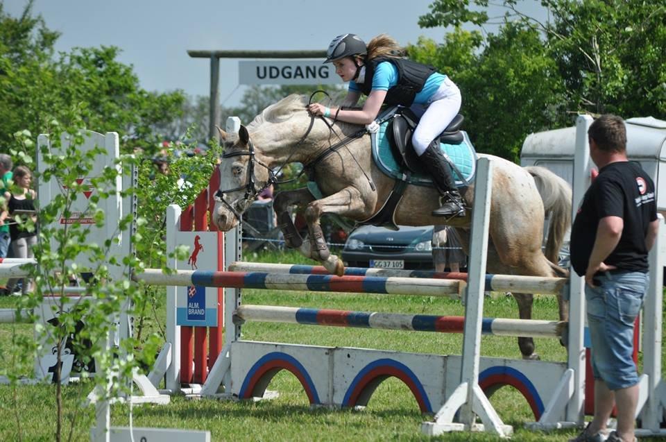 Anden særlig race ROOSGÅRDENS COSMOPOLITAN | Frans - LA** på hjallerup marked billede 2