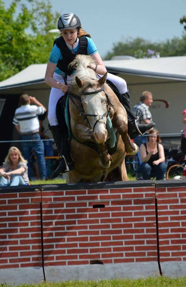 Anden særlig race ROOSGÅRDENS COSMOPOLITAN | Frans - LA** på hjallerup marked, vi fik en lidt sjov tilridning til dette spring, og derfor ligger vi lidt sjovt over.. billede 16