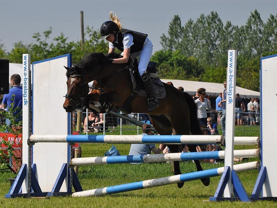 DSP Bæklunds Malacca ***SOLGT*** - HRV's Springchampionat 1. juni 2013. billede 7