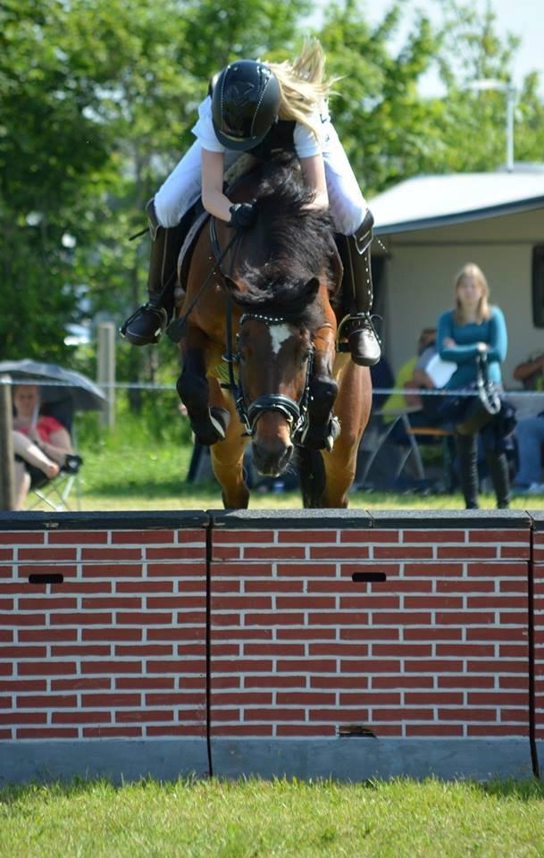 DSP Bæklunds Malacca ***SOLGT*** - HRV's Springchampionat 1. juni 2013. billede 8