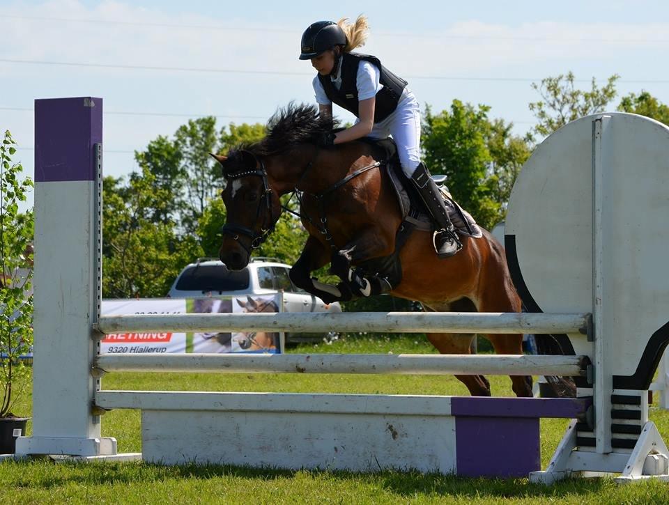 DSP Bæklunds Malacca ***SOLGT*** - HRV's Springchampionat 1. juni 2013. billede 9