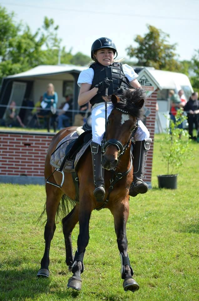 DSP Bæklunds Malacca ***SOLGT*** - Hahaha go' stil der :) HRV's Springchampionat 1. juni 2013. billede 12