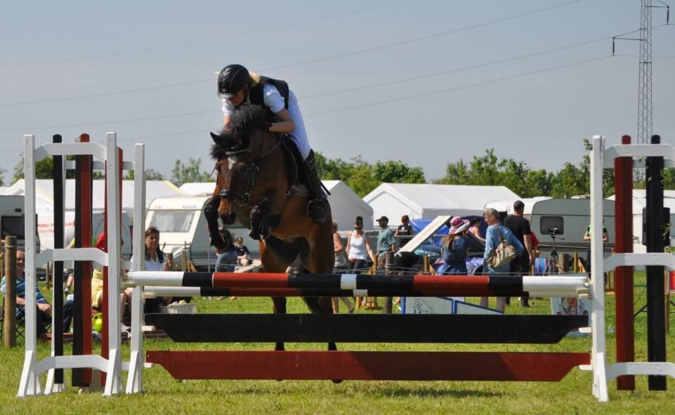 DSP Bæklunds Malacca ***SOLGT*** - HRV's Springchampionat 1. juni 2013. billede 11
