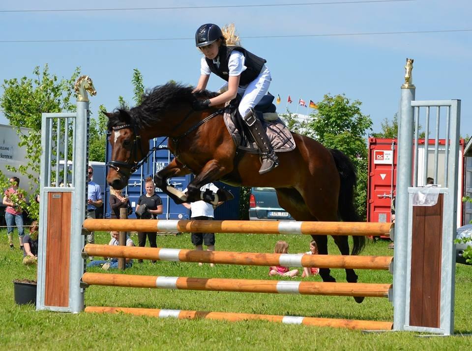 DSP Bæklunds Malacca ***SOLGT*** - HRV's Springchampionat 1. juni 2013. billede 10