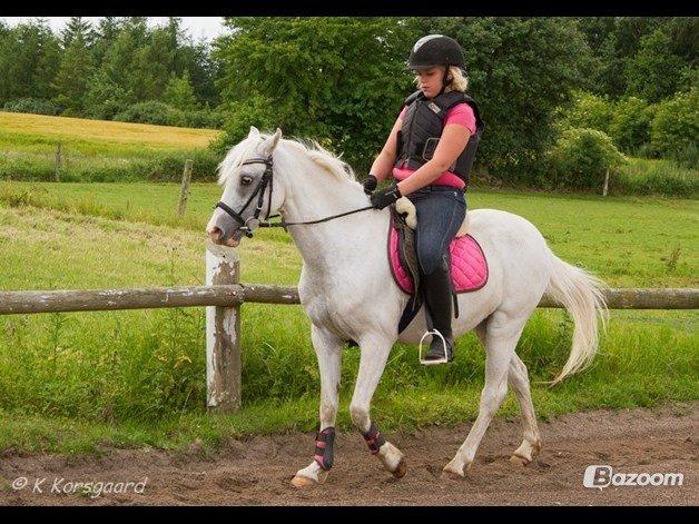 Anden særlig race Blida <3 *SOLGT* billede 8
