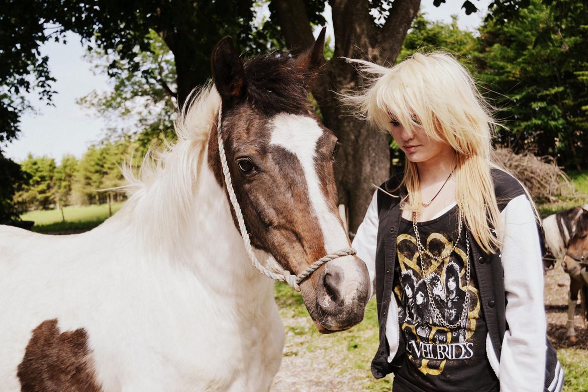 Pinto Kezia billede 2