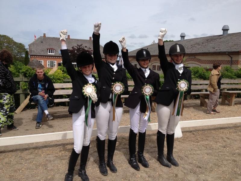 New Forest Calandias Avalanche (Caval) - C-distriktmesterskab 02. juni 2013. Nr. 3 billede 10