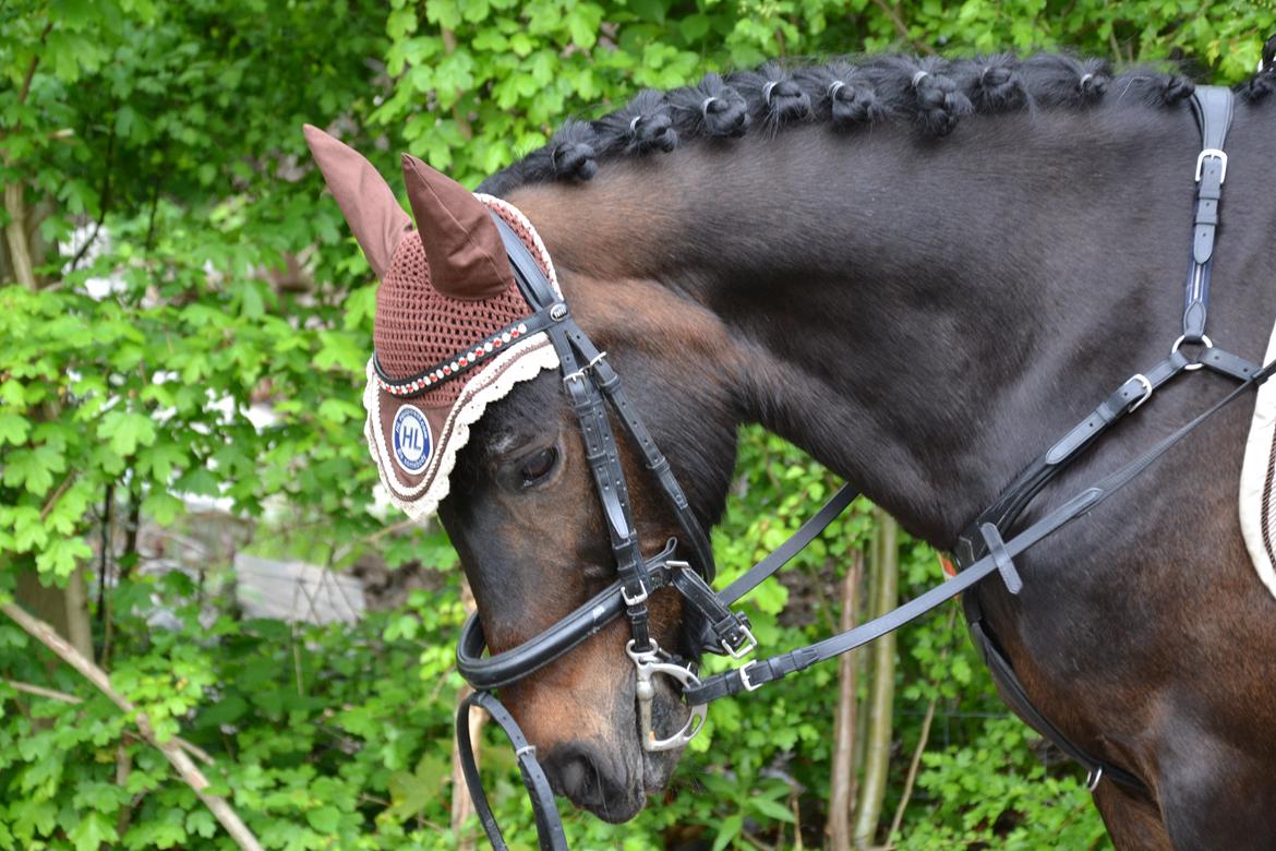 Anden særlig race Mestery Man billede 2