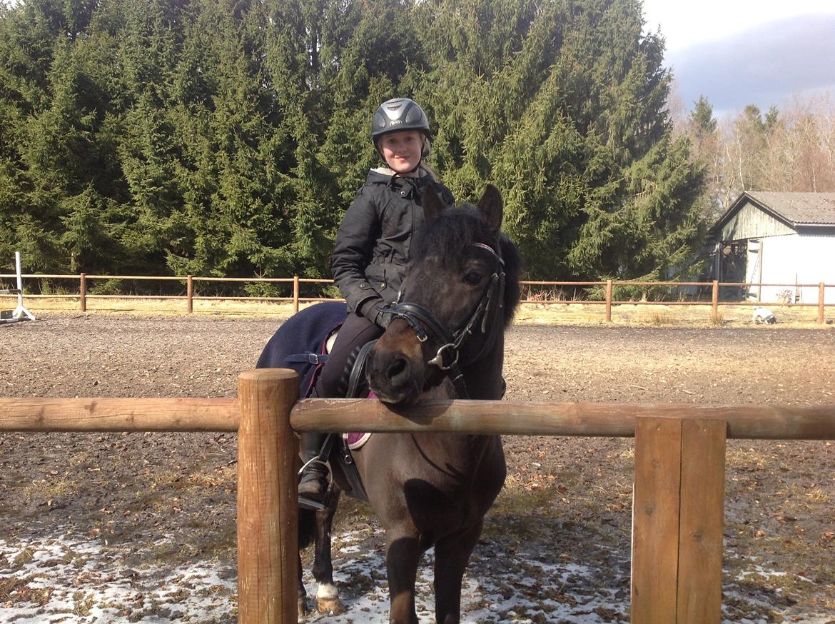 Anden særlig race Mestery Man billede 3