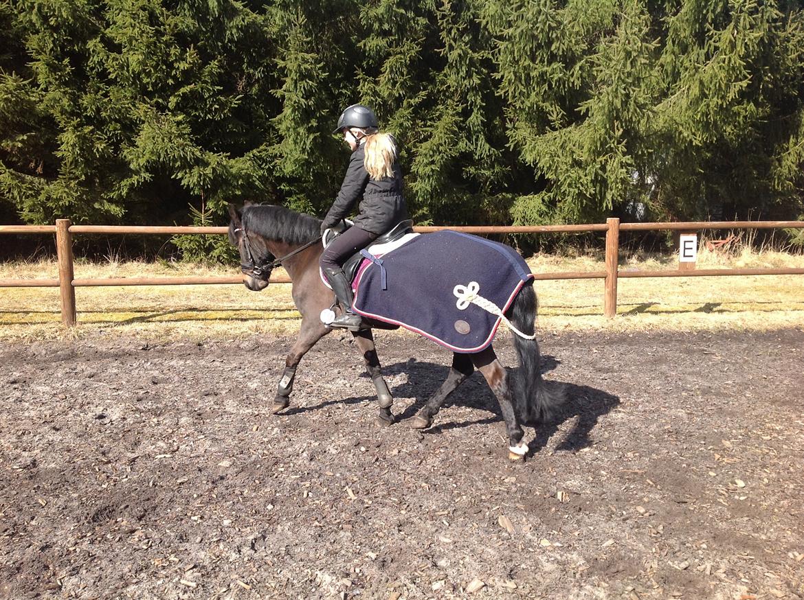 Anden særlig race Mestery Man billede 4