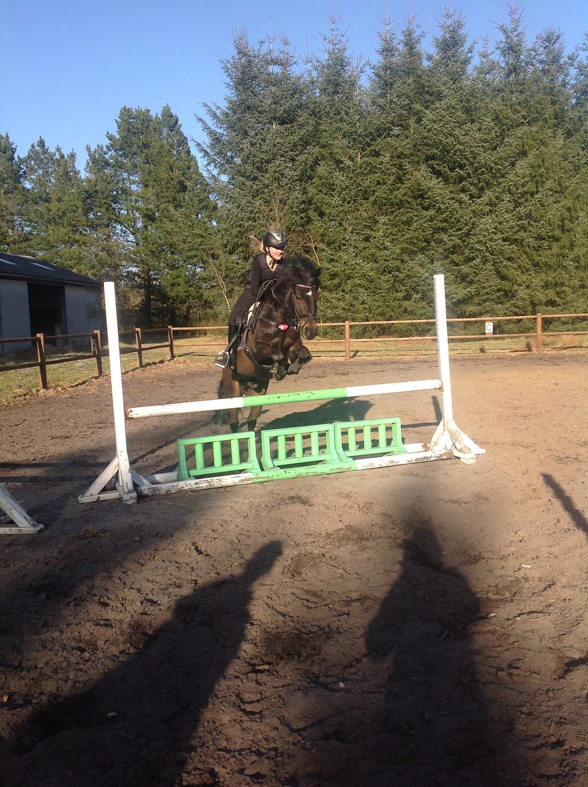 Anden særlig race Mestery Man billede 5