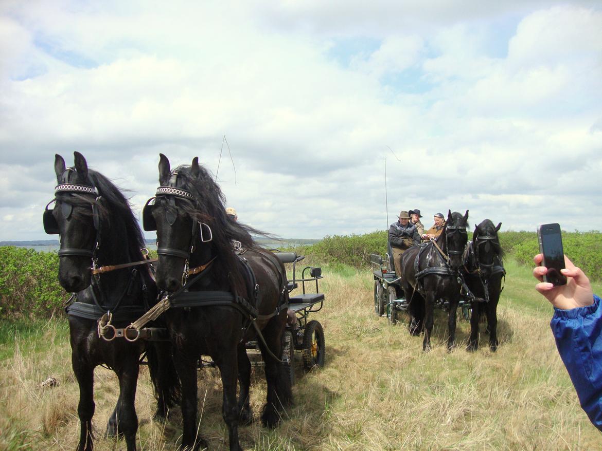 Frieser Max - 12-05-2013 
På tur og Besøg på Glud Museum med ØKS. 
Max, Rex, Jannie og Nienke billede 2