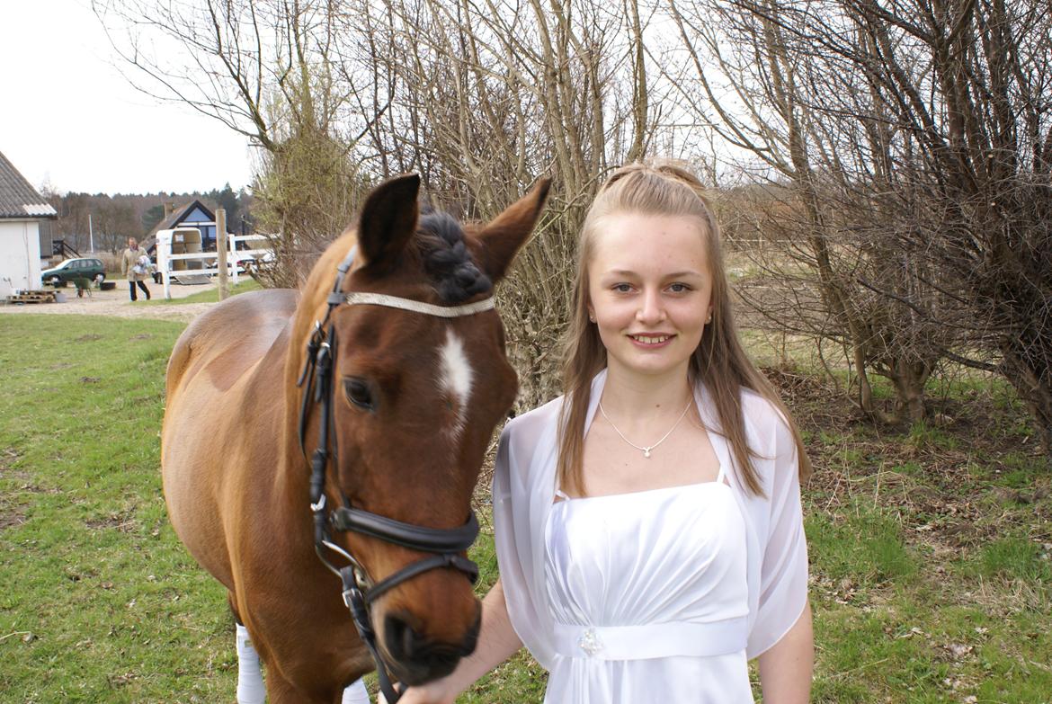 DSP Sultan fra Højbo<3 billede 8