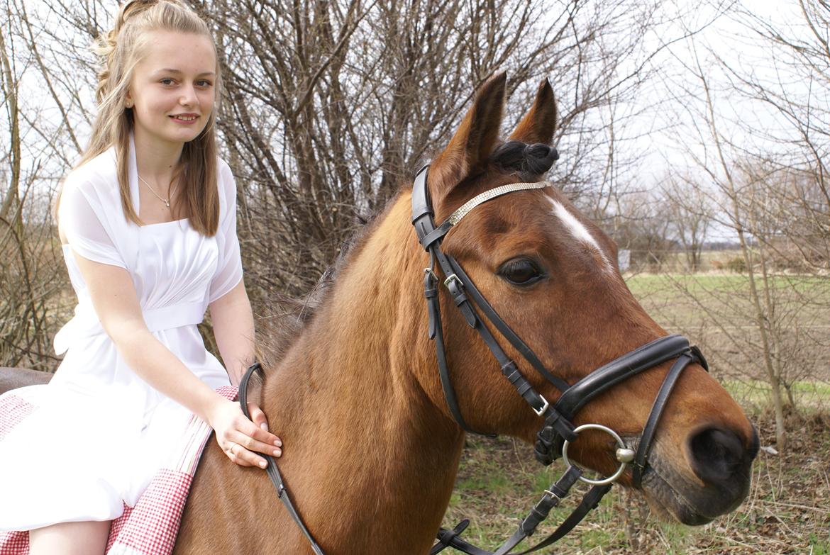 DSP Sultan fra Højbo<3 billede 5