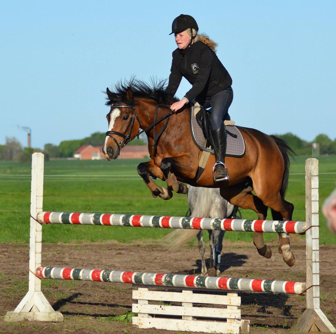DSP Fejrupgaards Cookienelle - Springtræning maj 2013 billede 1