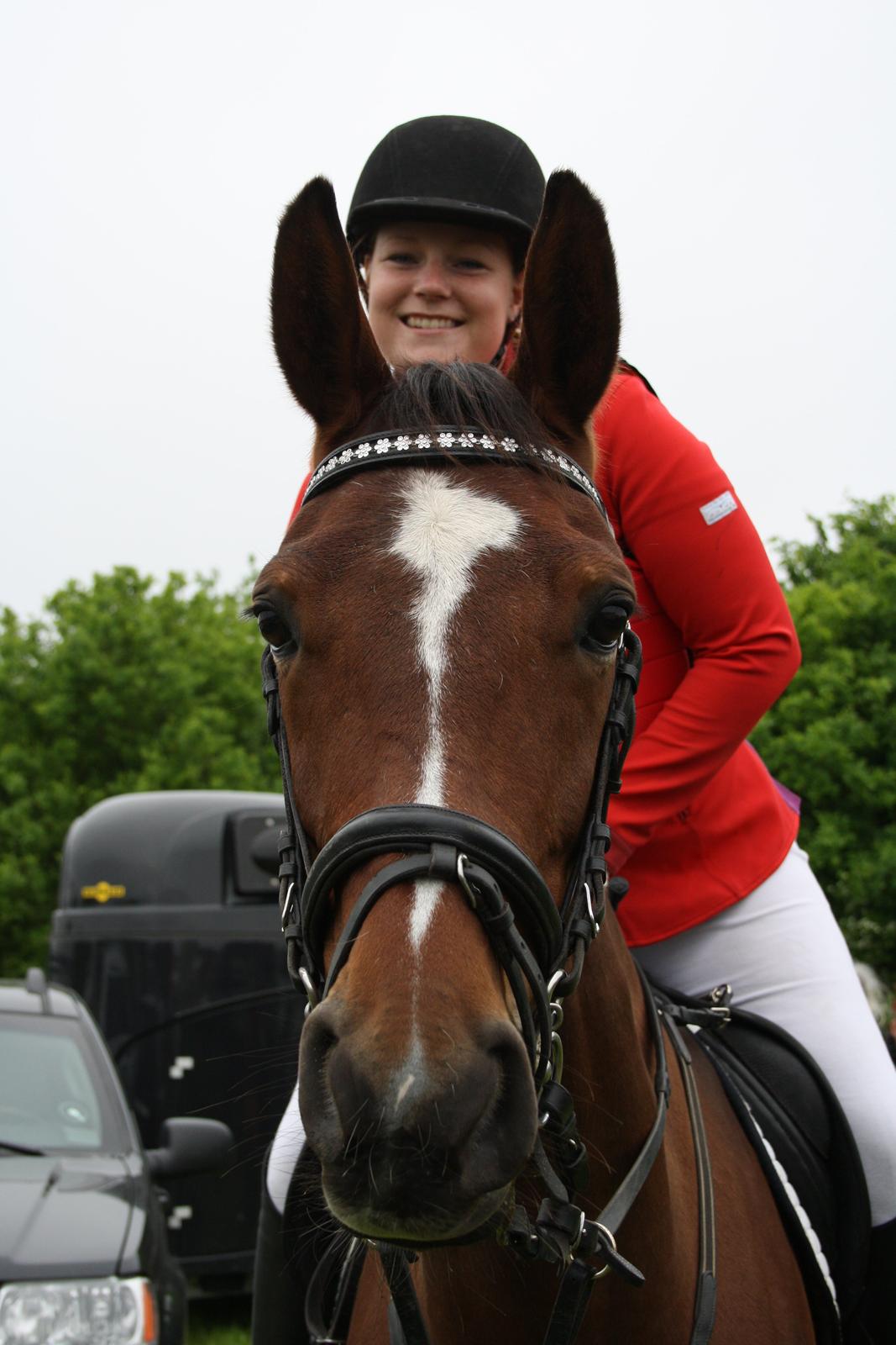 Anden særlig race Lady <3 [MIN SKØNHED] - Velkommen til Lady's profil :D  billede 1
