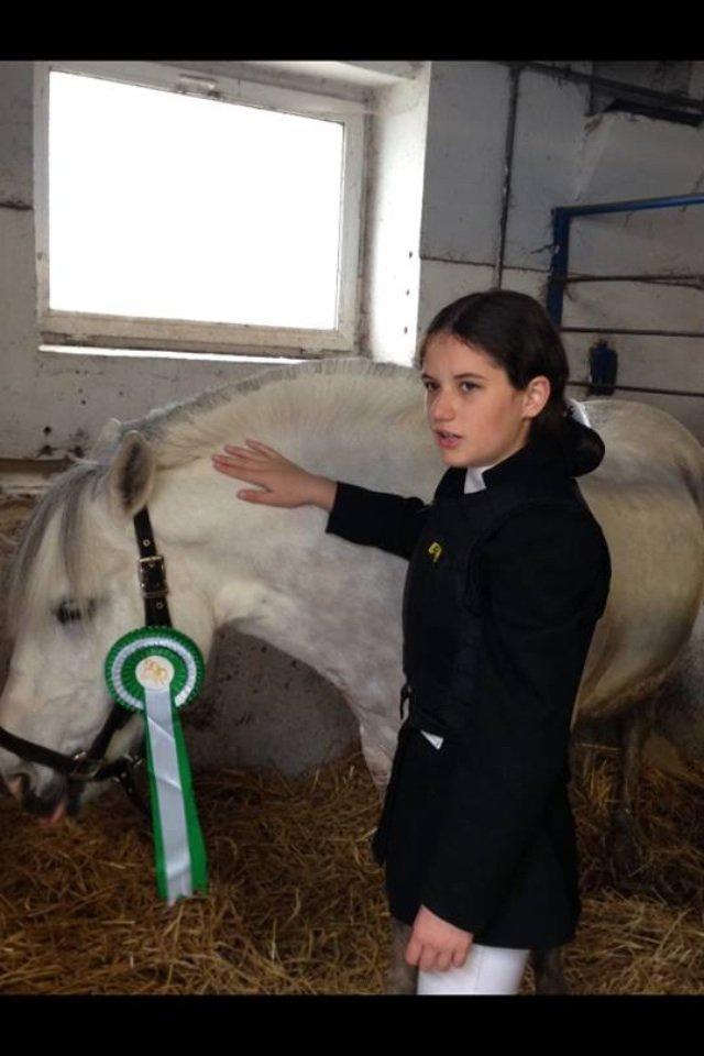 Anden særlig race Marius billede 3