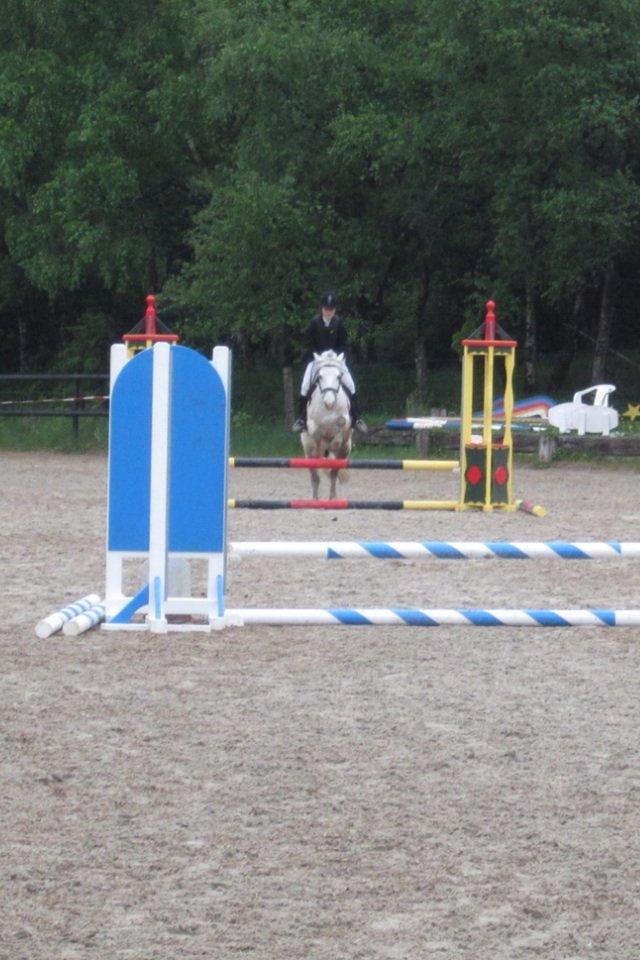 Anden særlig race Marius - Spring stævne 2013 Ballerup Rideklub 3.plads billede 6
