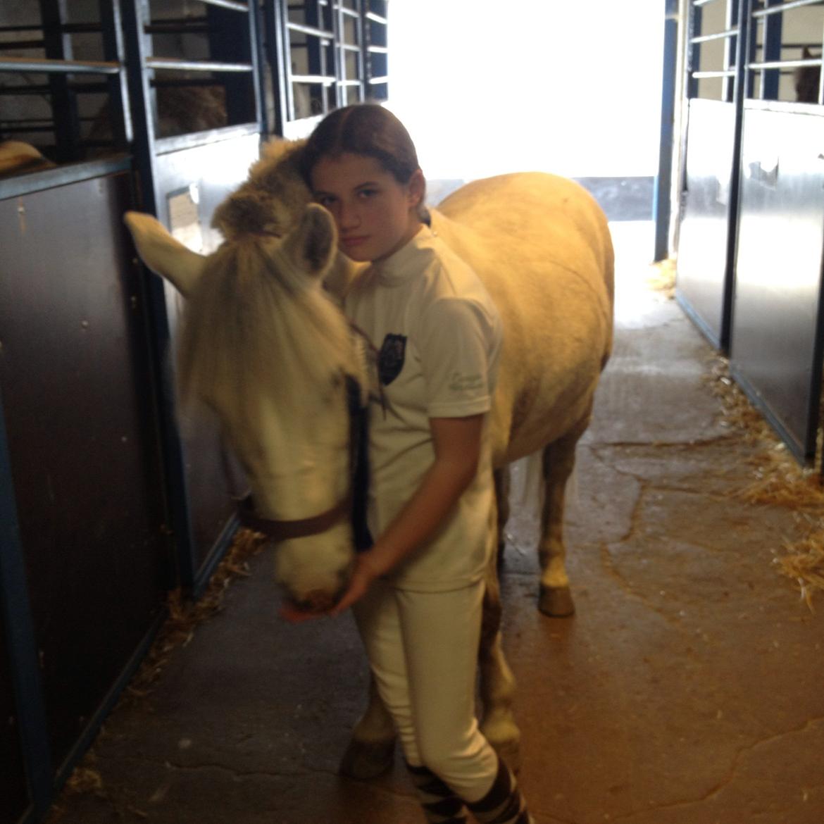 Anden særlig race Marius - Hygge efter dressur stævne billede 7