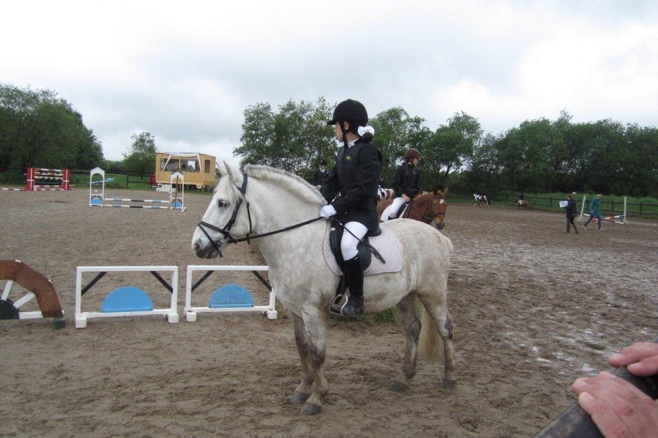 Anden særlig race Marius - Spring stævne inden start 3. plads billede 8