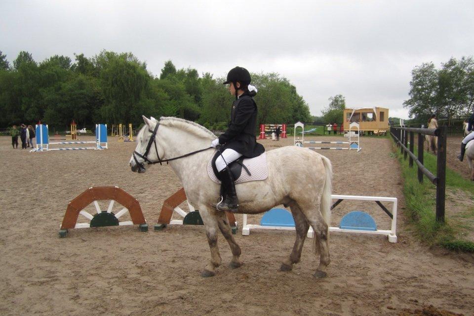 Anden særlig race Marius - Spring 3. plads billede 10