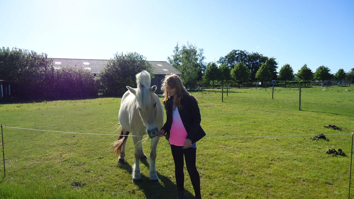 Fjordhest Ejerlykkes Corel [Part] - Corel og jeg hygger lidt med tricks<3 ;) billede 7