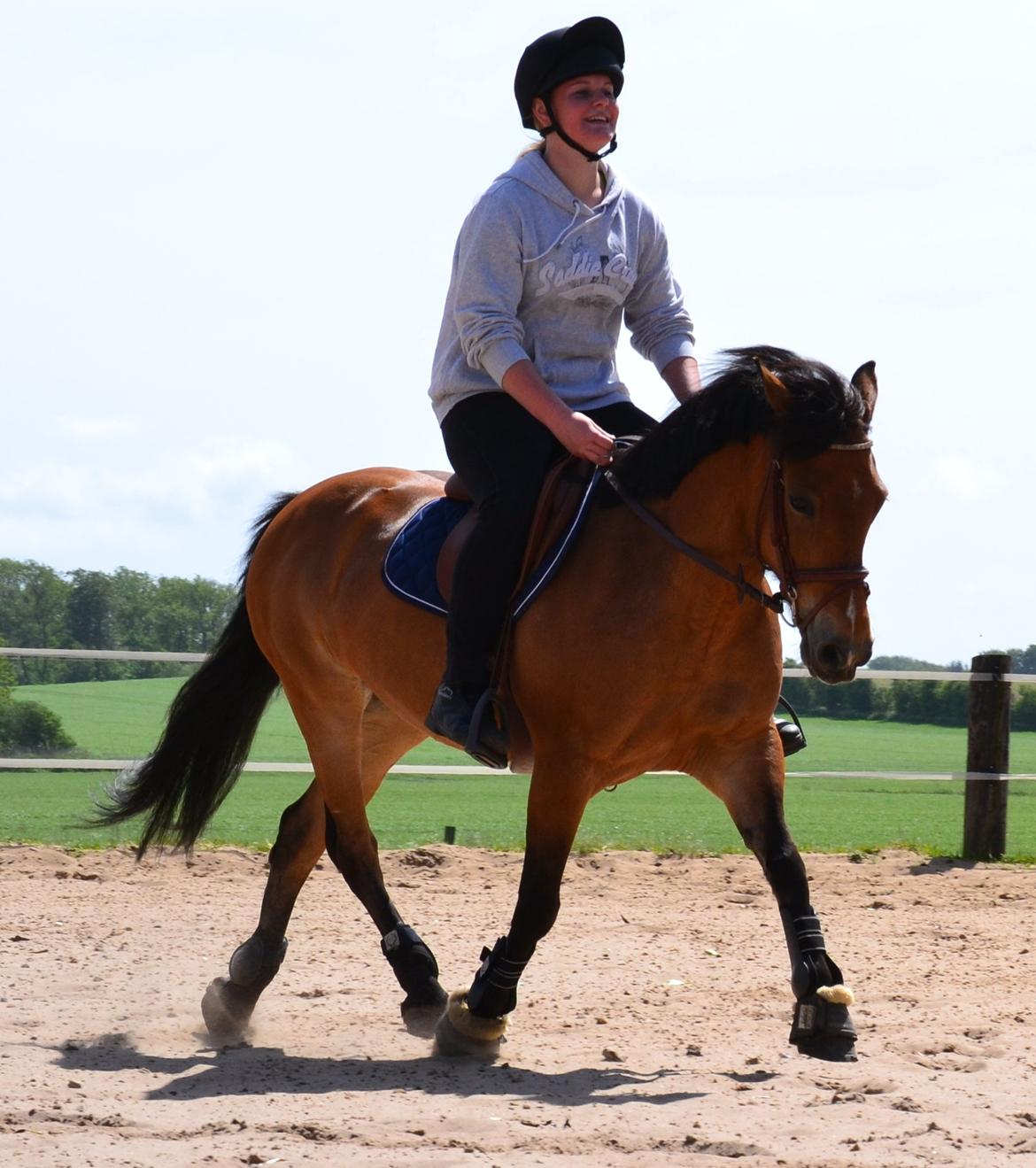 Hollandsk Sportspony Jasmijn billede 2
