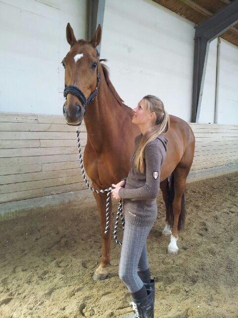 Dansk Varmblod Rønbjergs Zamir - Billed taget dagen han kom :) billede 3