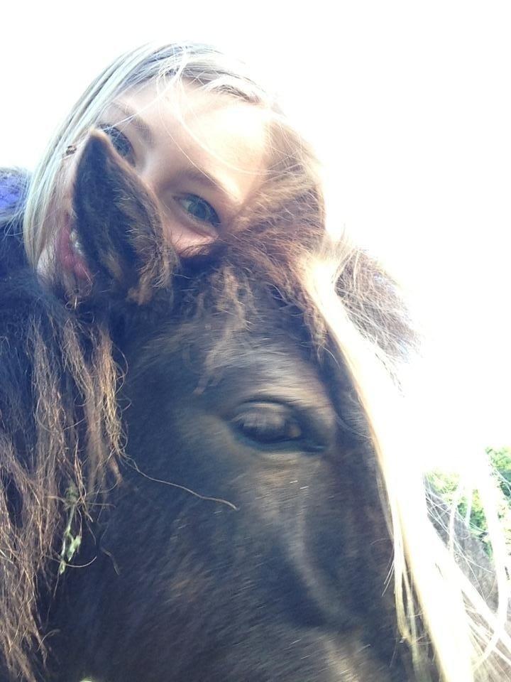 Shetlænder <3 <3 Musse <3 <3 billede 12