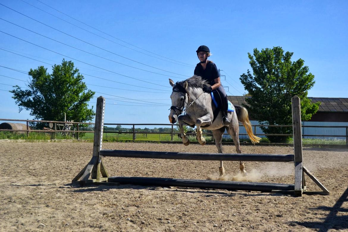 Anden særlig race Asgårds Frigg<3 - Første springtime! billede 7