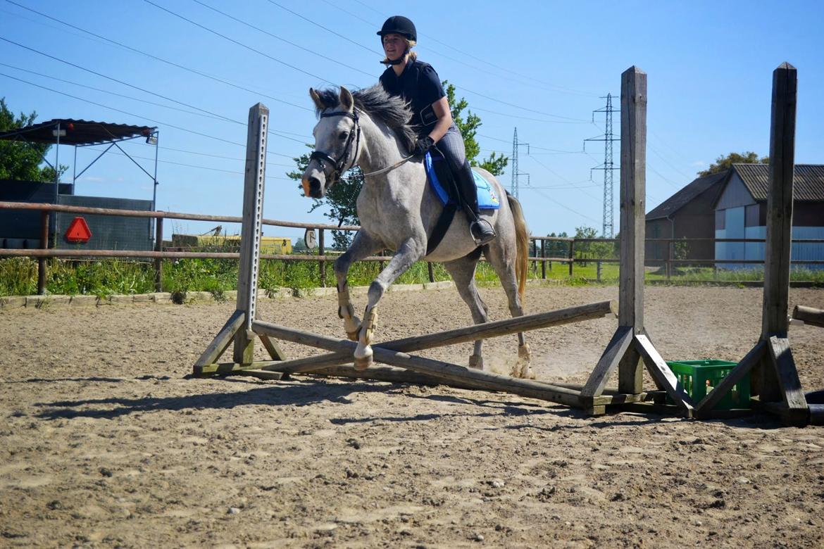 Anden særlig race Asgårds Frigg<3 - Første spring nogensinde!! billede 12
